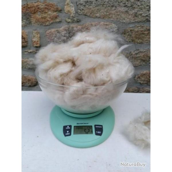 Kapok 100g pour combler l'espace vide de vos �tuis