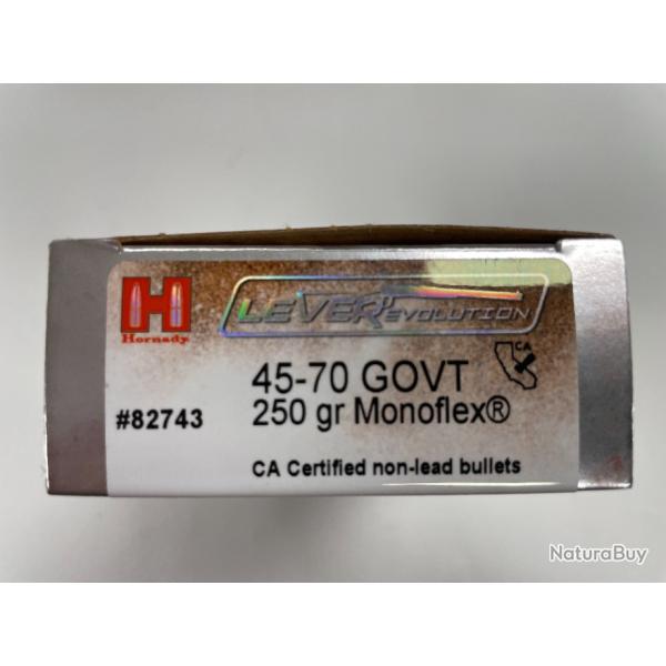 HORNADY45/70 GOUV 250GR BOITE DE 20 BALLES(VENDU PAR 2 BOITES�