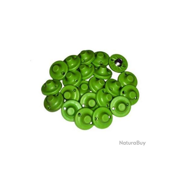 Pointes plates exalt�es