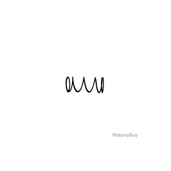 Ressort du r�gulateur d'air comprim� Dangerous Power RAPS ASA