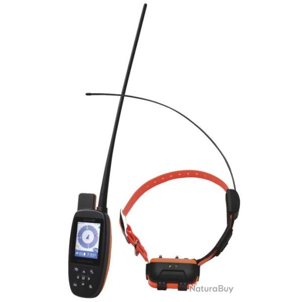 PACK COLLIER DE REP�RAGE NUM'AXES CANICOM GPS