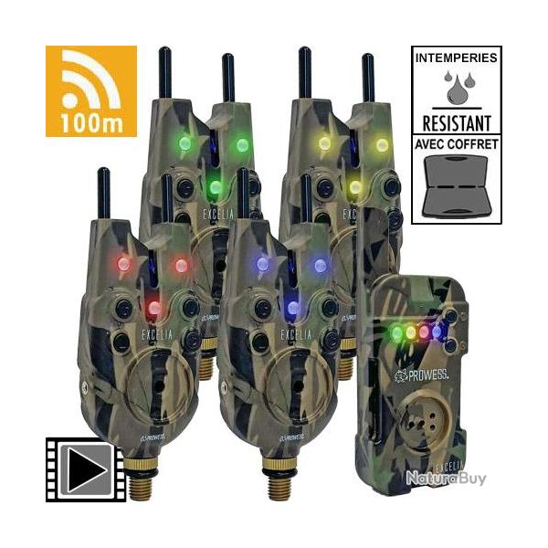 Coffret Prowess Centrale 4 D�tecteurs Excelia Camou