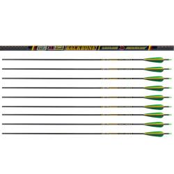 Lot de 12 fl&egrave;ches Skylon BackBone 5.2 600