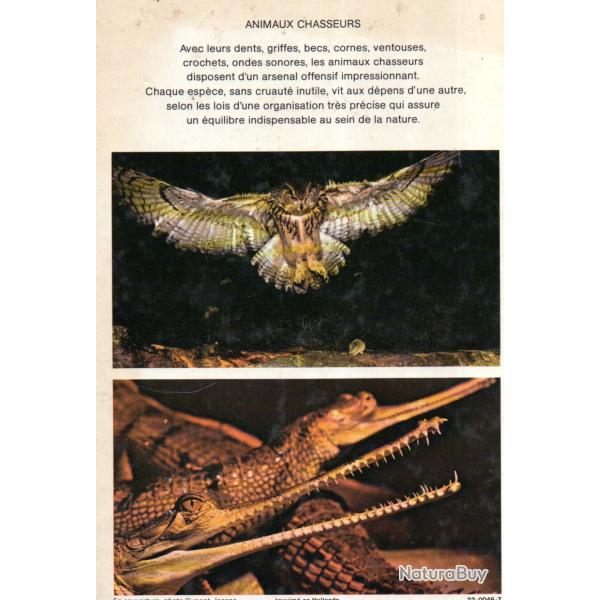 animaux chasseurs de w.van stuijvenberg