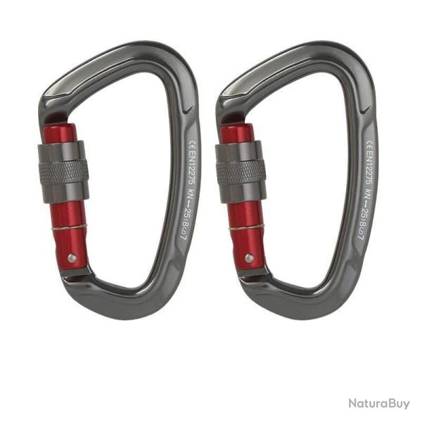 Mousqueton boucle s�curit� 25kN forme D - Gris x2