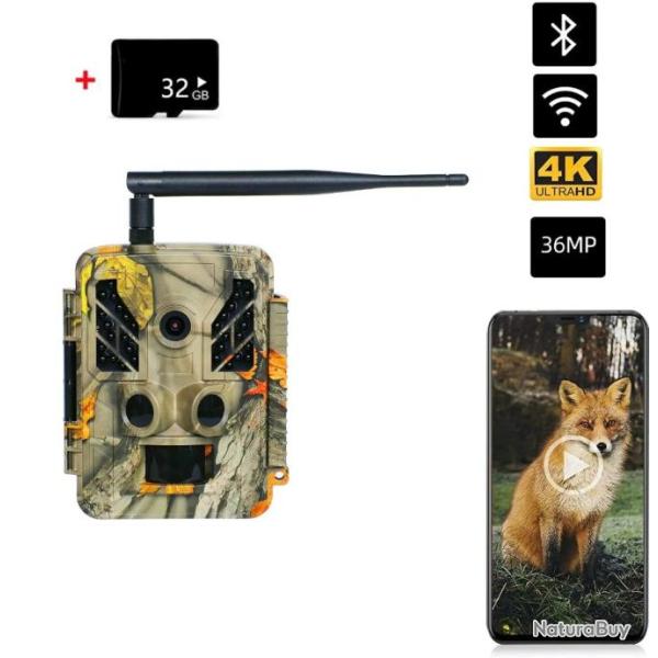 Cam�ra de Chasse Ext�rieure WiFi Etanche IP67 Vision Nocturne Infrarouge 4K 36MP+ 32GB
