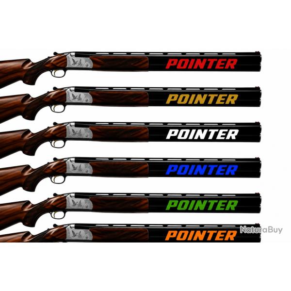 2 Stickers autocollants Premium Canon POINTER Exp�dition sous 24H Garantie !