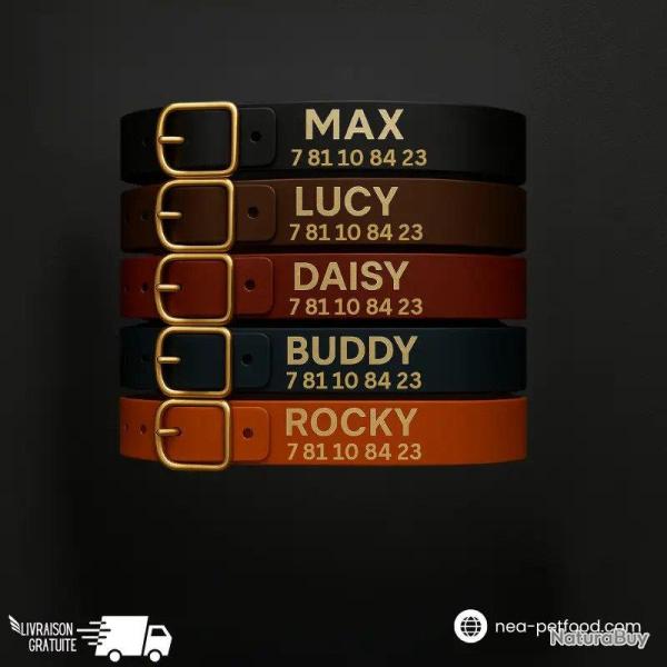 Collier pour chien personnalis� grav� solide US 24 mm BLEU