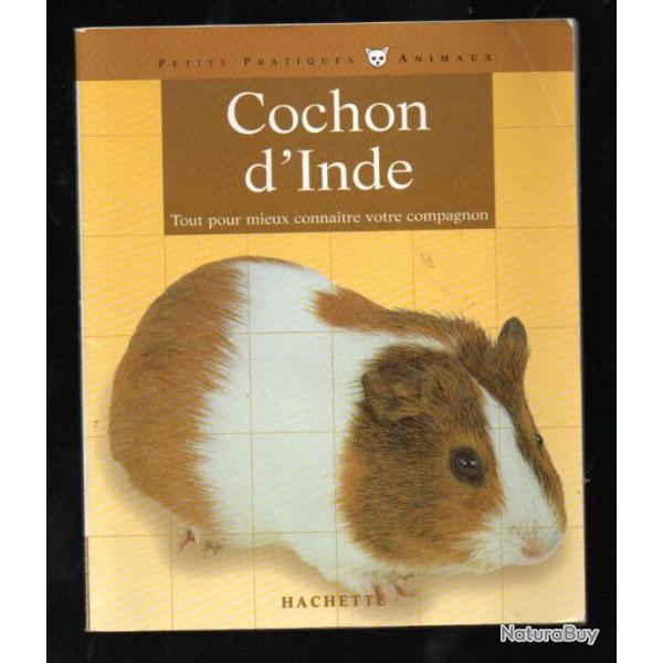 cochon d'inde par  katrin behrend.