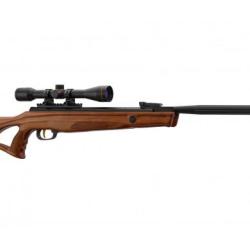 Carabine &agrave; Plomb Beeman Mod&egrave;le 10620