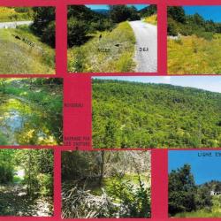 22,4884 ha - FOR&Ecirc;T DU COLET - ( 26 ) DR&Ocirc;ME