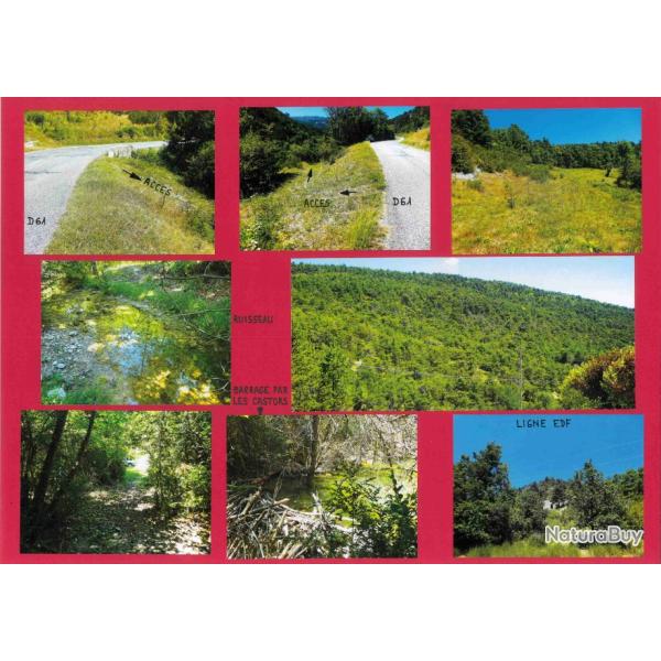 22,4884 ha - FOR�T DU COLET - ( 26 ) DR�ME