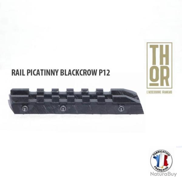 Rail picatinny pour fusil � pompe Verney-Carron Blackcrow P12 - Thor-Accessoires