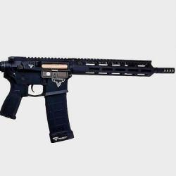 OFFRE FLASH! NOUVEAUT&Eacute; 2024 ! PR&Eacute; COMMANDE AR15 JOHN WICK 2 TTI EMG CUSTOM CULASSE OR ! [ AEG ] PNA