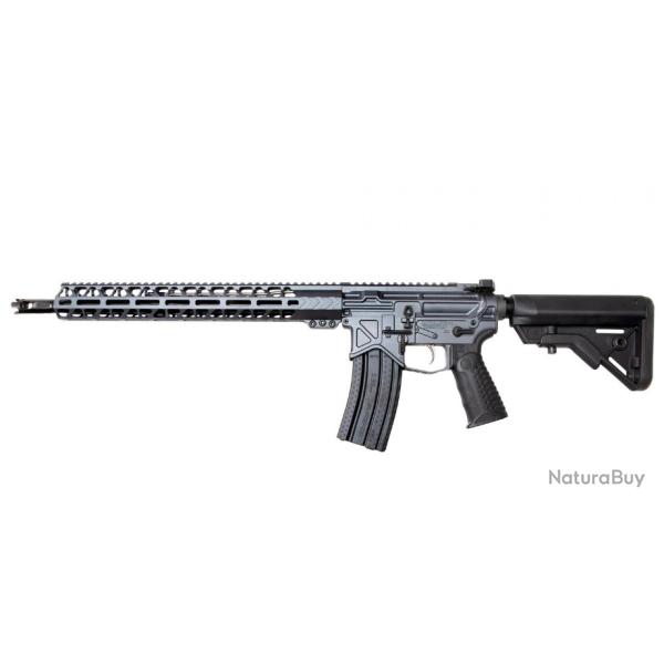 BATTLEARMS - Carabine AUTHORITY ELITE 16" - 223R