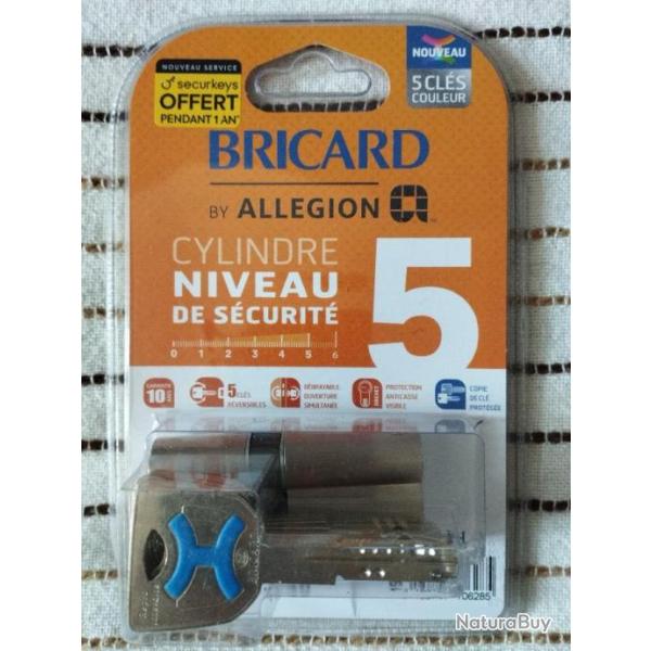 BRICARD Mistral S2 Cylindre Tr�s Haute S�curit� R�f : 19774 - 30X40mm - 100% NEUF Sous Blister