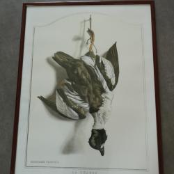 lithographies de EDOUARD TRAVIES