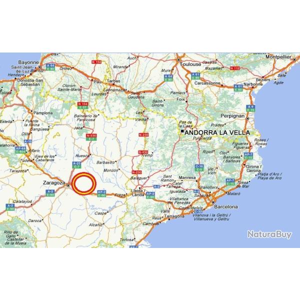 Exclusif et in�dit !! / S�jours de dressage de vos chiens d'arr�t hors saison !