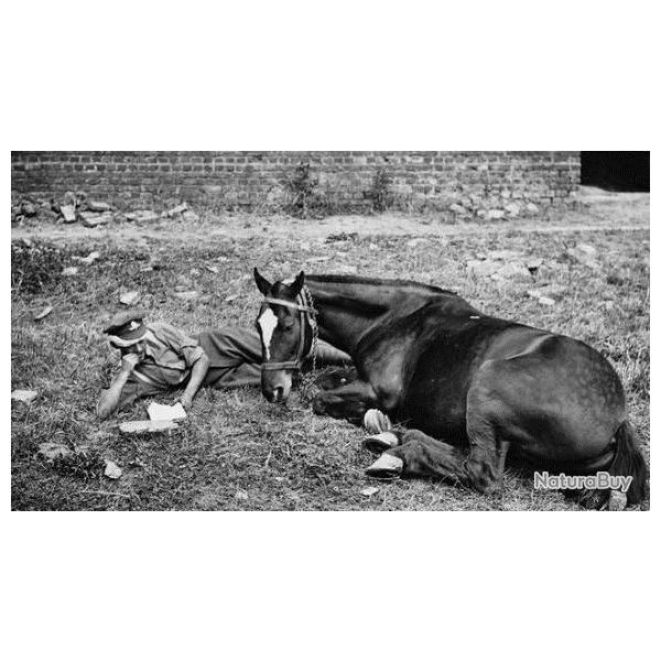 WW1 FRANCE CURIOSIT� FER A CHEVAL D'ANCIENNE ZONE DE COMBAT 100 % TERRAIN FRANCE 14-18 LOT 7