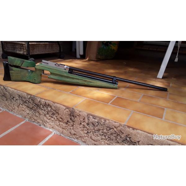 FEINWERKBAU 60 Carabine a plomb co2 - Modele 60 - Enfant / Junior