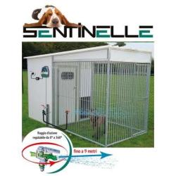 Cinotechnica anti aboiement collectif SENTINELLE avec arroseur