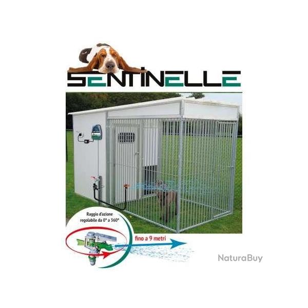 Cinotechnica anti aboiement collectif SENTINELLE avec arroseur