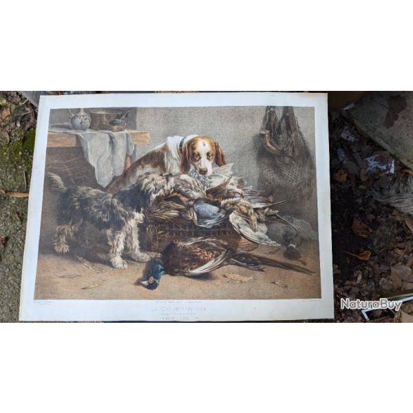 Lithographie Didier rare chiens de chasse gibier d'apr�s tableau de Noterman la gourmandise