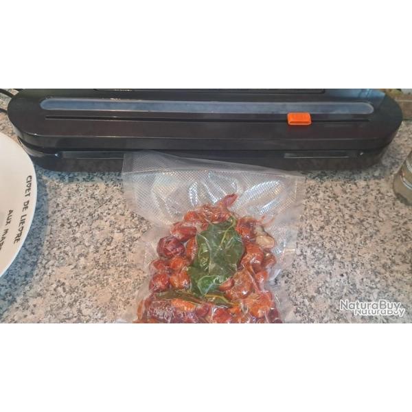 Machine de mise sous vide 70kPa - L'outil essentiel des chasseurs, p�cheurs, cueilleurs , jardiniers