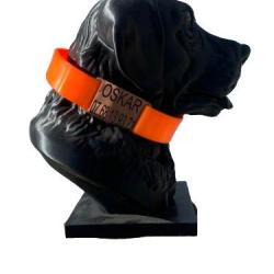 M&eacute;daille chien