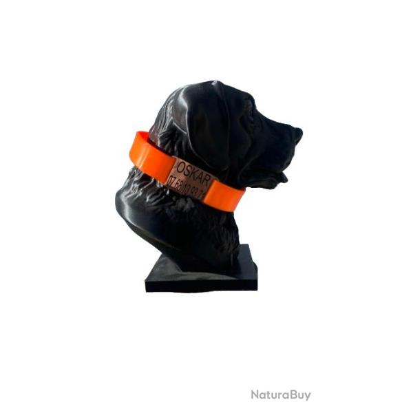 M�daille chien