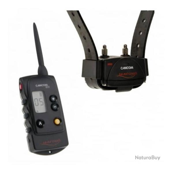 Ensemble collier �ducation pour chien Canicom 800