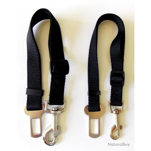 Laisse ceinture auto Noir 25 mm
