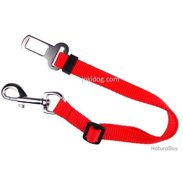 Laisse de s�curit� auto ROUGE M : 20 mm