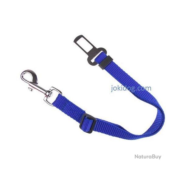 Laisse de s�curit� auto BLEU M : 20 mm