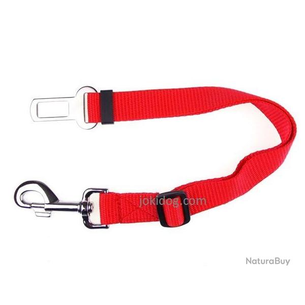 Laisse de s�curit� auto ROUGE L : 25 mm