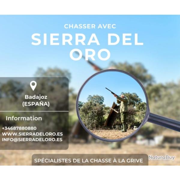 CHASSE EN ESPAGNE