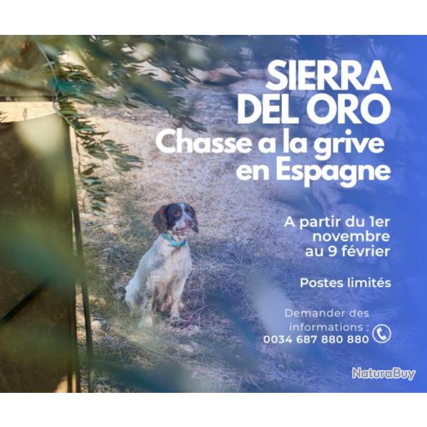 Chasse en Espagne 2025- 26