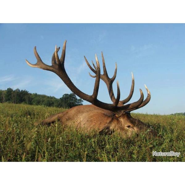 Monteria en Espagne 2026