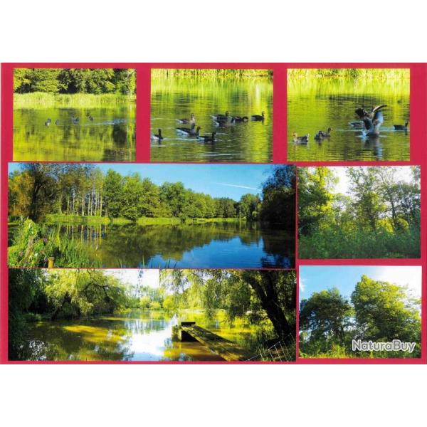 33,3083 ha - DOMAINE DES ROUSSEAUX - ( 18 ) CHER