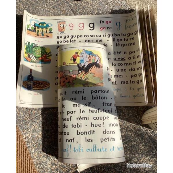 Gros Lot de 19 grands tableaux scolaires 68/90cm �dit�s par La Maison des Instituteurs