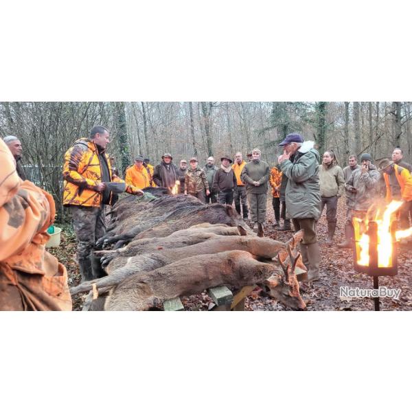 Part battue Moselle- Pays des �tangs- Chasse