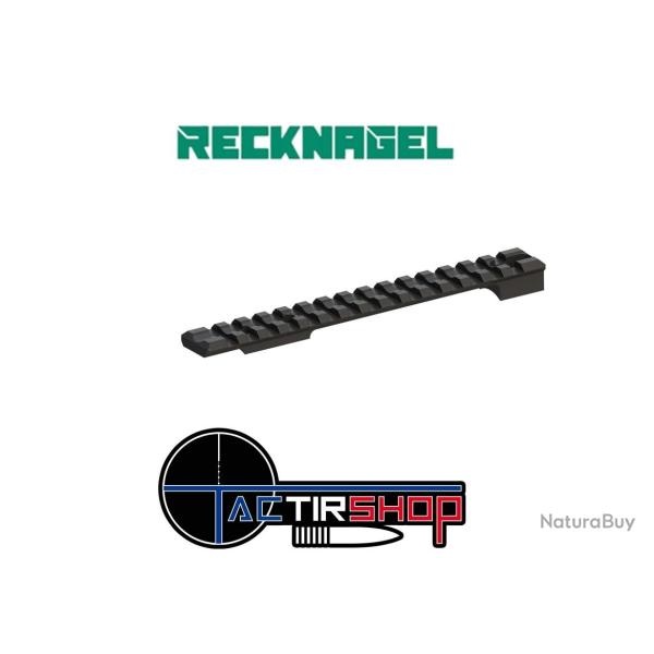 Rail pent� Recknagel 20 Moa en acier Remington 700 action longue