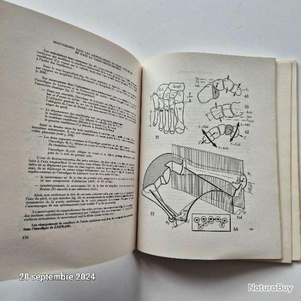 Physiologie articulaire, schmas comments de la mcanique humaine, 1977