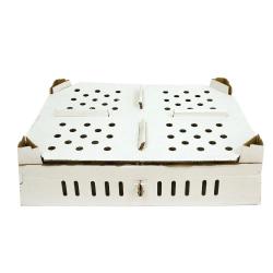 Lot de 25 bo&icirc;tes transport poussins carton empilables 46 X 60 X 12 cm