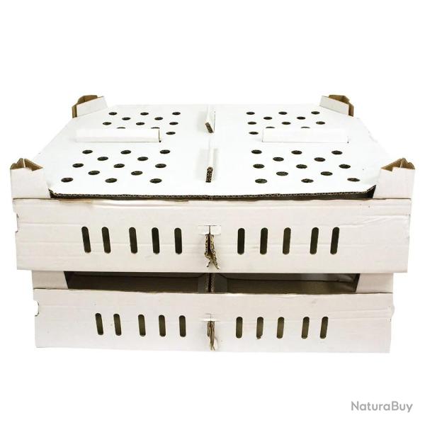 Lot de 25 botes transport poussins carton empilables 46 X 60 X 12 cm