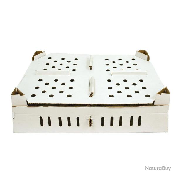 Lot de 25 bo�tes transport poussins carton empilables 46 X 60 X 12 cm