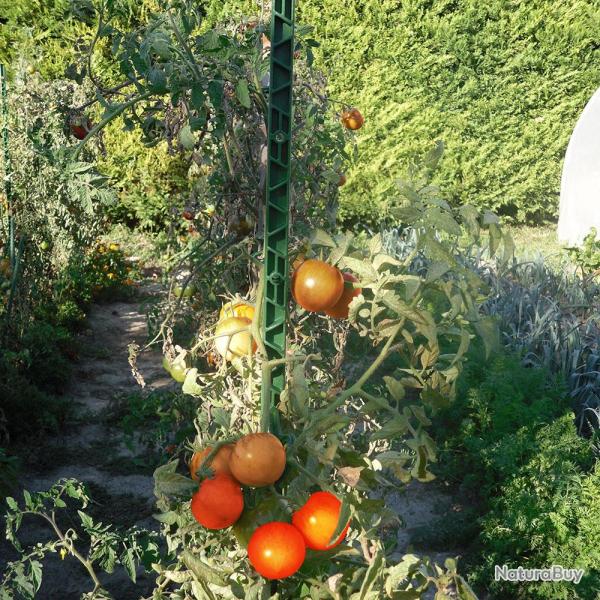 Tuteur plastifi� hauteur 180 cm vert soutenir et redresser les plantes