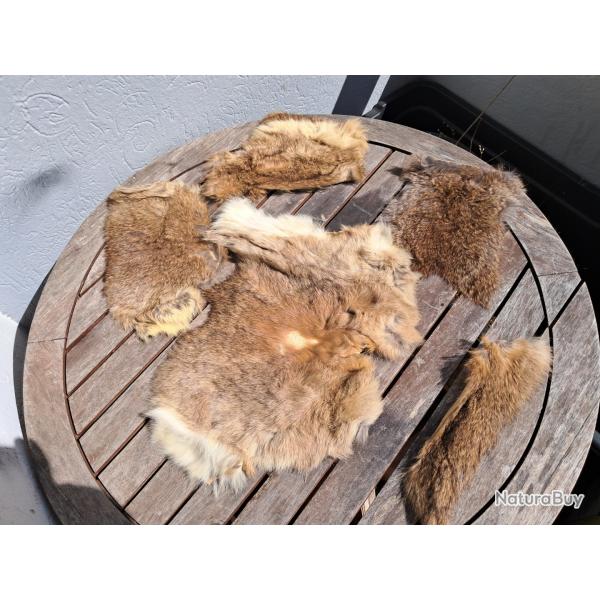 Lot de 5 peaux de lapin #4
