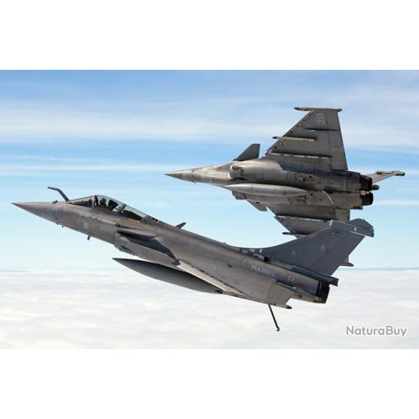 RAFALE OPEX Dassault Aviation de Chasse  A�ronautique Arm�e de l' AIR CD - rom rare neuf??
