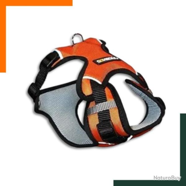 Harnais pour chien - Nylon - R�sistant - R�fl�chissant - Orange - Garantie 2 ans